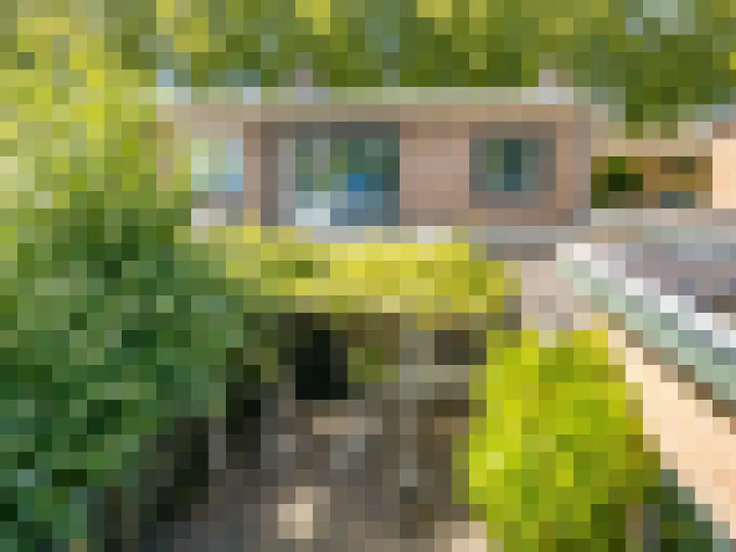 Westeinde 14 Zevenaar thumbnail 6