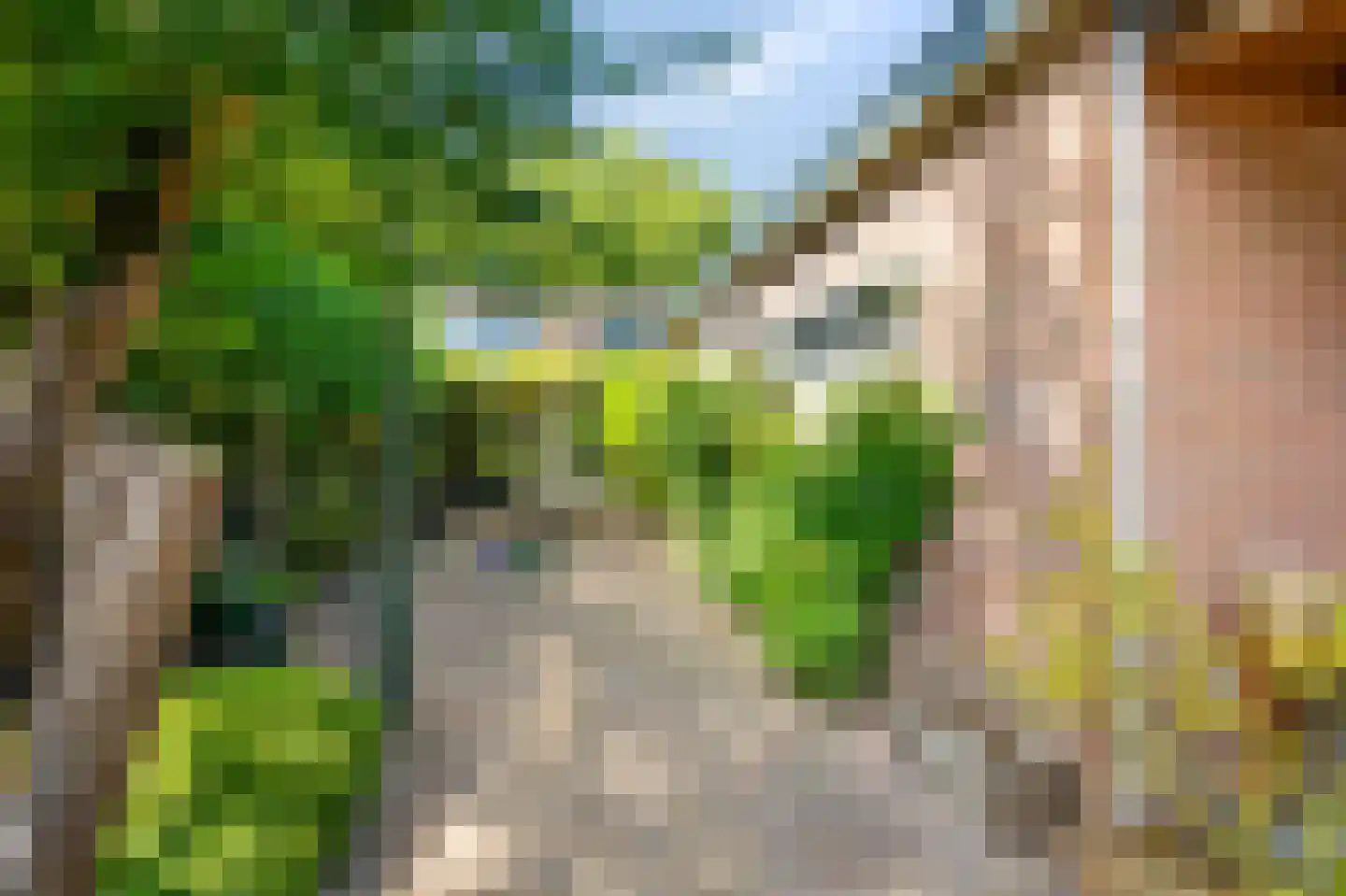 Westeinde 14 Zevenaar thumbnail 61