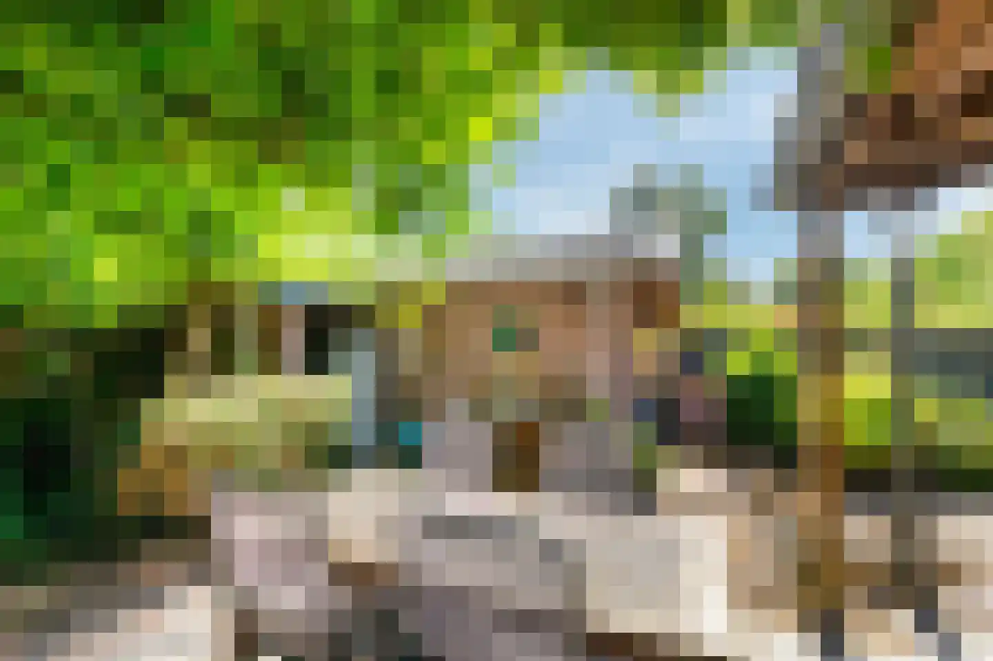Westeinde 14 Zevenaar thumbnail 63