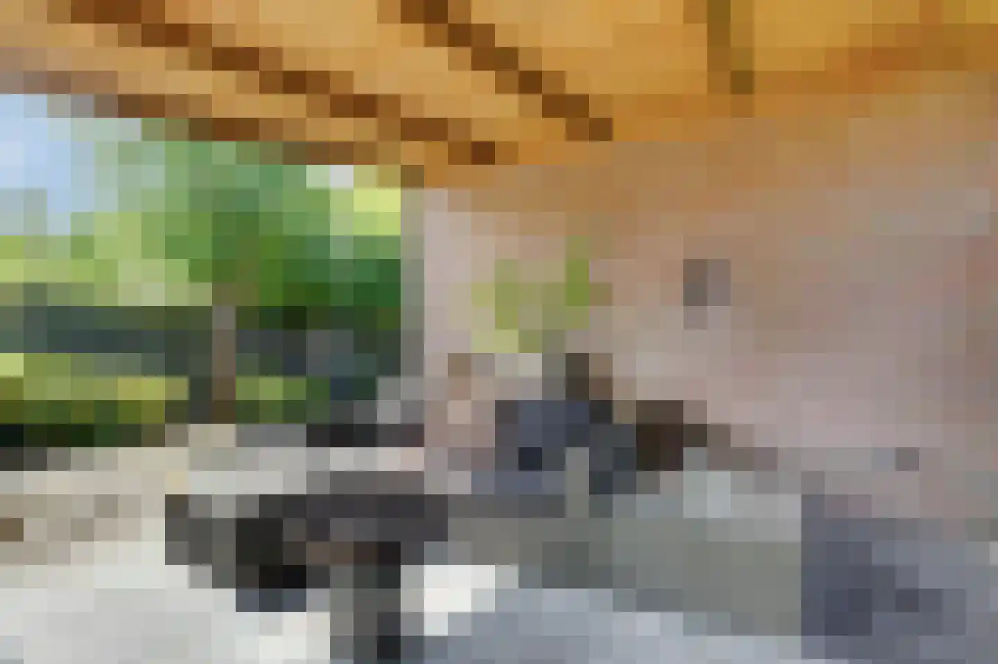 Westeinde 14 Zevenaar thumbnail 64