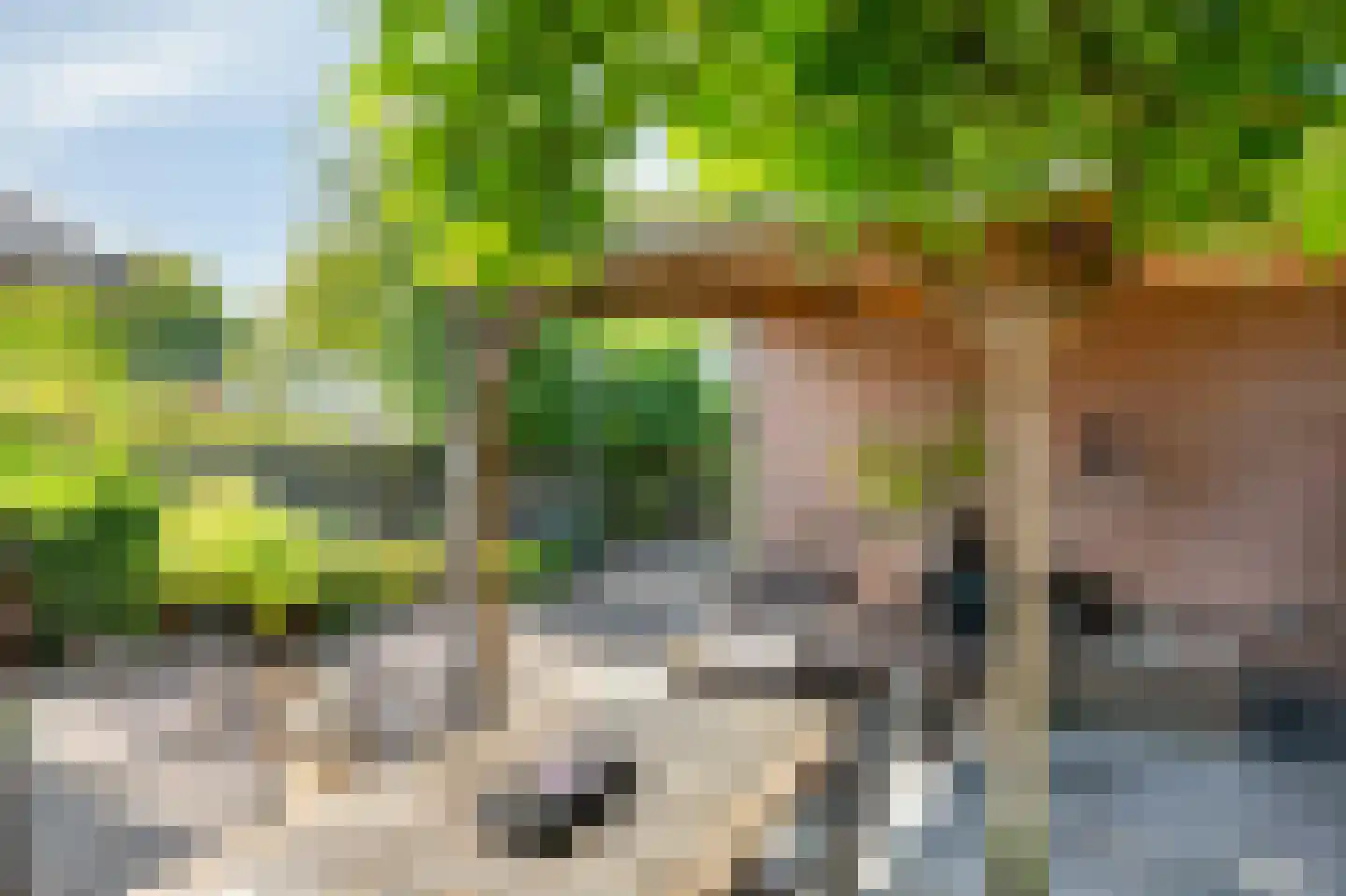 Westeinde 14 Zevenaar thumbnail 66