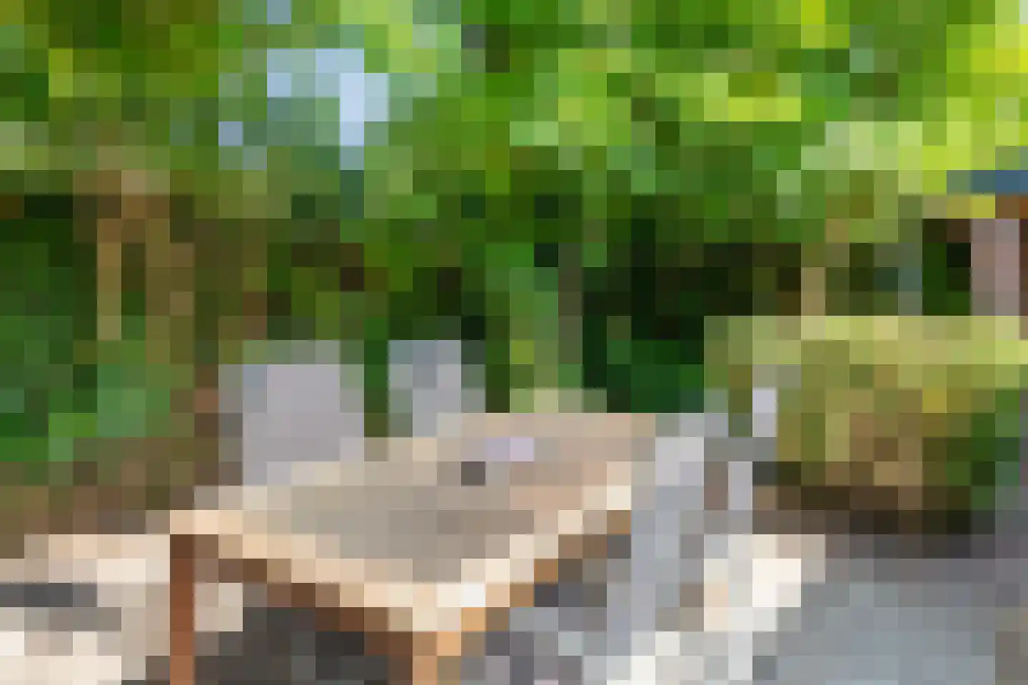 Westeinde 14 Zevenaar thumbnail 68
