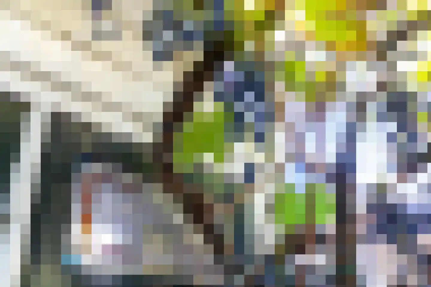 Westeinde 14 Zevenaar thumbnail 69