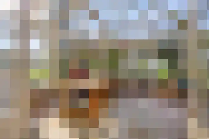 Westeinde 15 Berkenwoude thumbnail 13