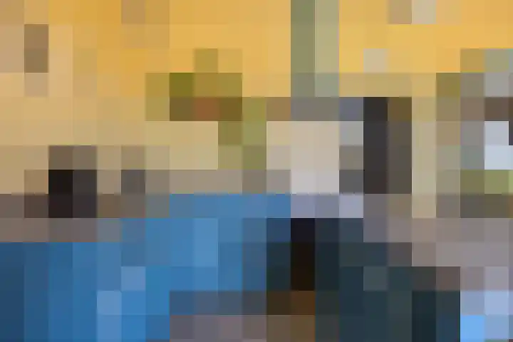 Westeinde 15 Berkenwoude thumbnail 17