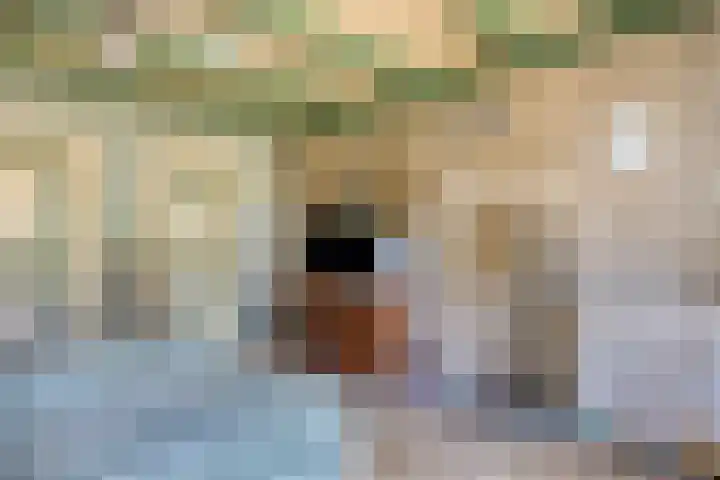 Westeinde 15 Berkenwoude thumbnail 20