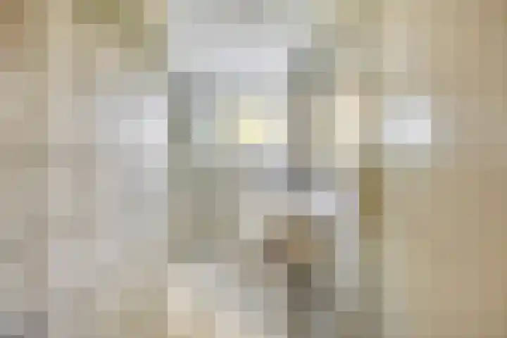 Westeinde 15 Berkenwoude thumbnail 24