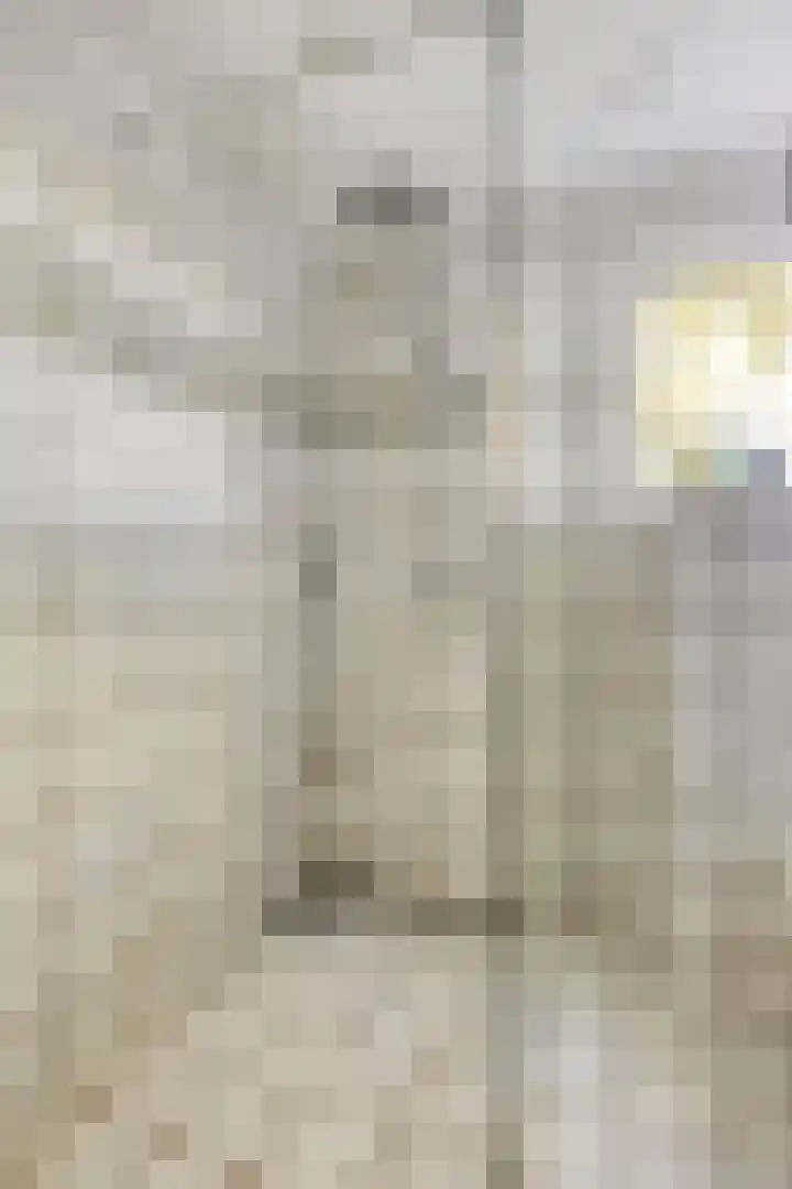 Westeinde 15 Berkenwoude thumbnail 26
