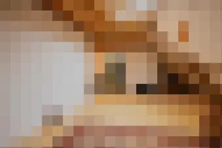 Westeinde 15 Berkenwoude thumbnail 34