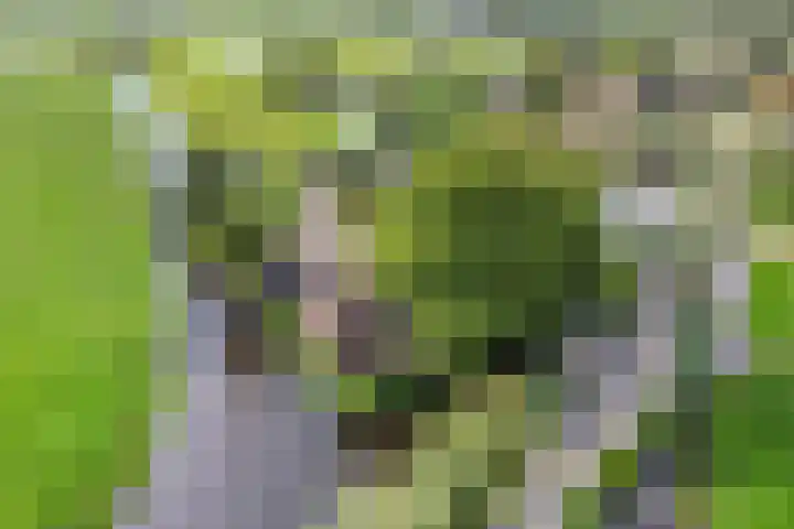 Westeinde 15 Berkenwoude thumbnail 37