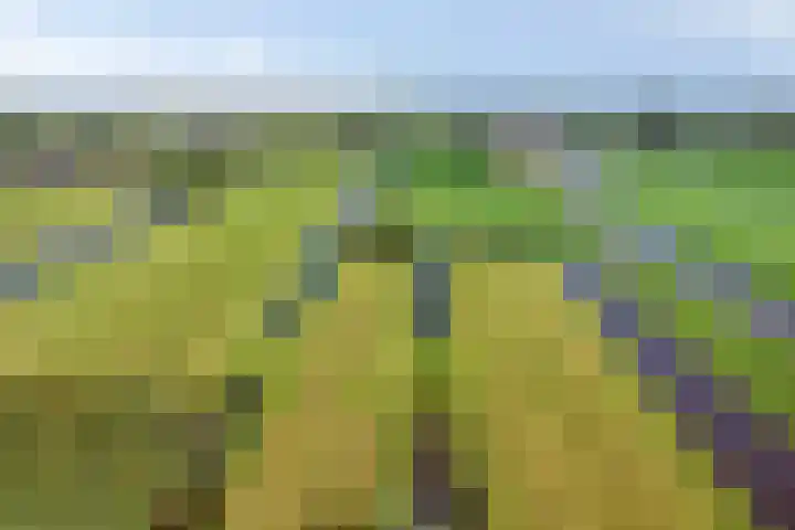 Westeinde 15 Berkenwoude thumbnail 38