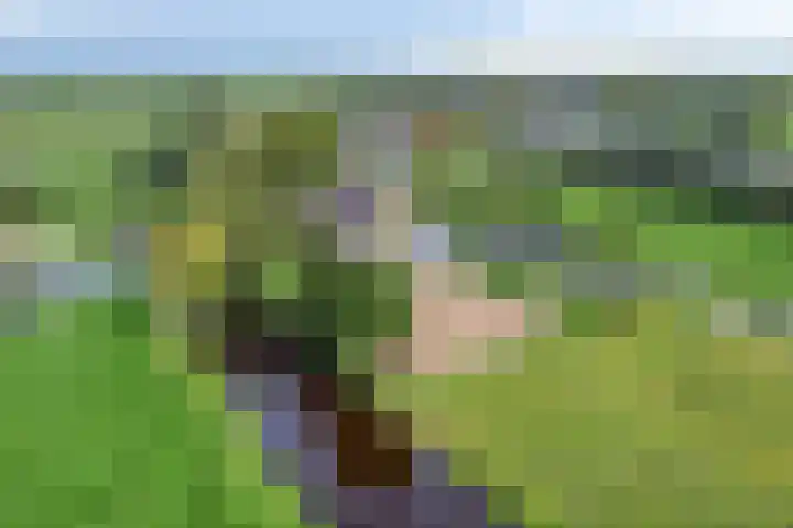 Westeinde 15 Berkenwoude thumbnail 39