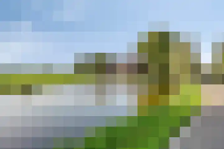 Westeinde 15 Berkenwoude thumbnail 4