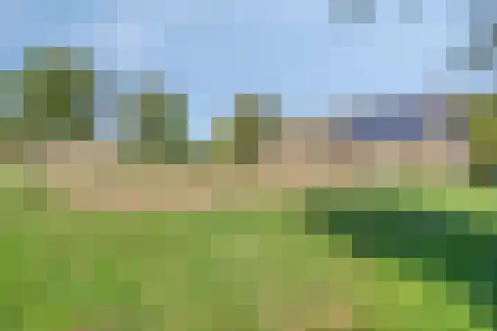 Westeinde 15 Berkenwoude thumbnail 40