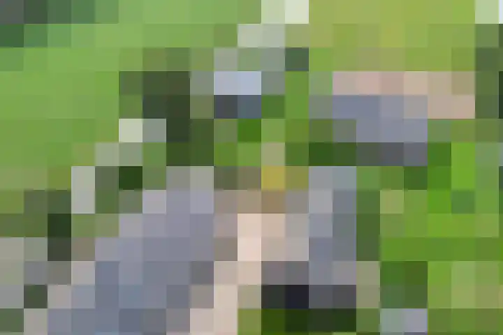 Westeinde 15 Berkenwoude thumbnail 41