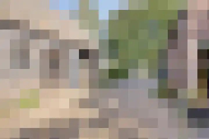 Westeinde 15 Berkenwoude thumbnail 43