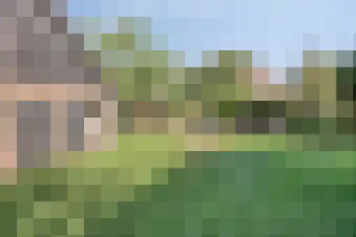 Westeinde 15 Berkenwoude thumbnail 44
