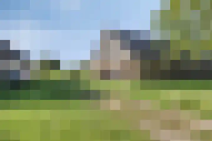 Westeinde 15 Berkenwoude thumbnail 45
