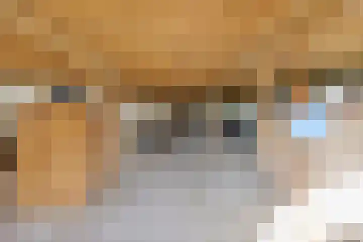 Westeinde 15 Berkenwoude thumbnail 46