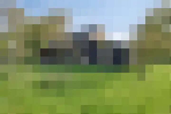 Westeinde 15 Berkenwoude thumbnail 48