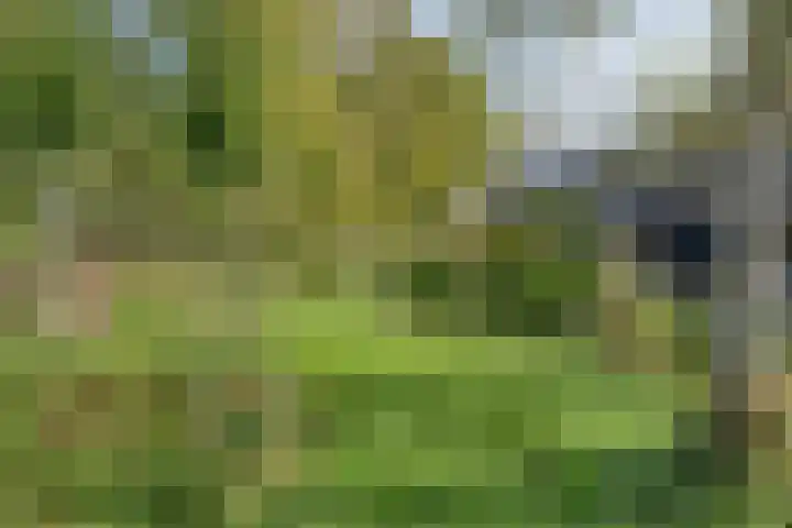 Westeinde 15 Berkenwoude thumbnail 49