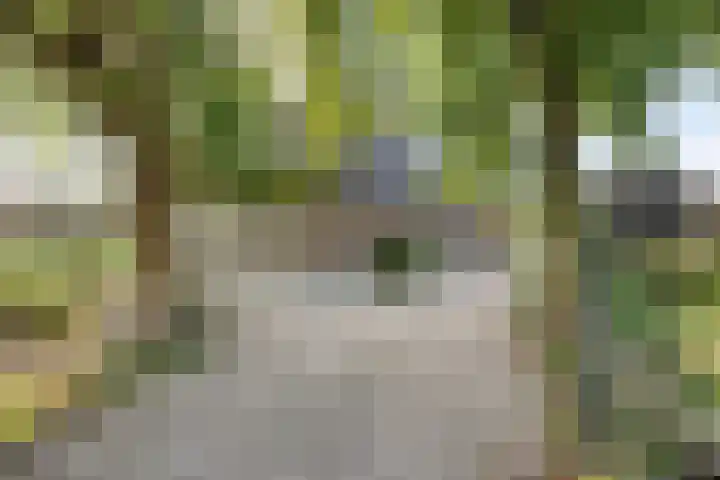 Westeinde 15 Berkenwoude thumbnail 5