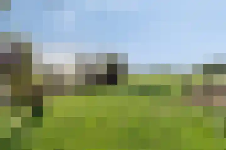Westeinde 15 Berkenwoude thumbnail 50