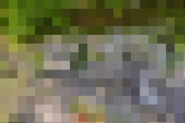 Westeinde 15 Berkenwoude thumbnail 52