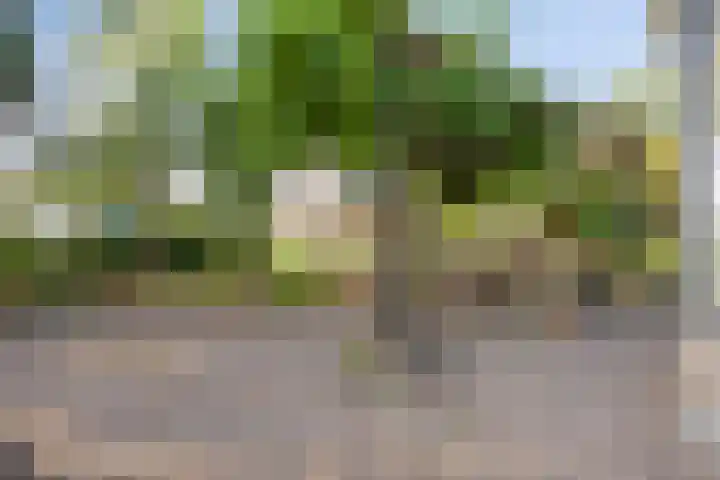 Westeinde 15 Berkenwoude thumbnail 53