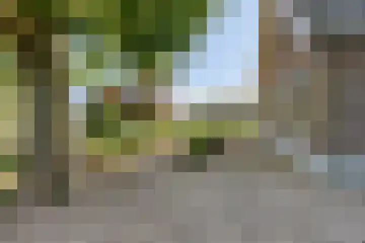 Westeinde 15 Berkenwoude thumbnail 6