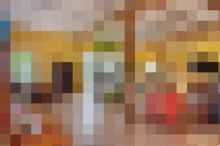 Westeinde 15 Berkenwoude thumbnail 9