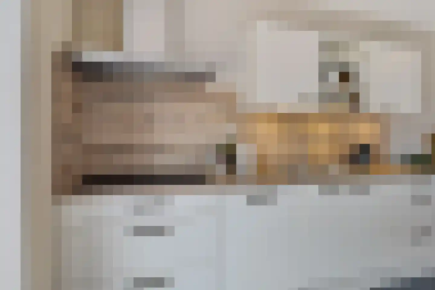 Westeinde 16 Gasteren thumbnail 24
