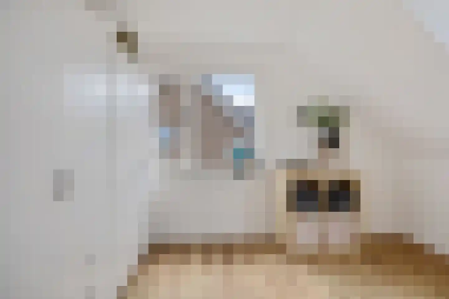 Westeinde 16 Gasteren thumbnail 27