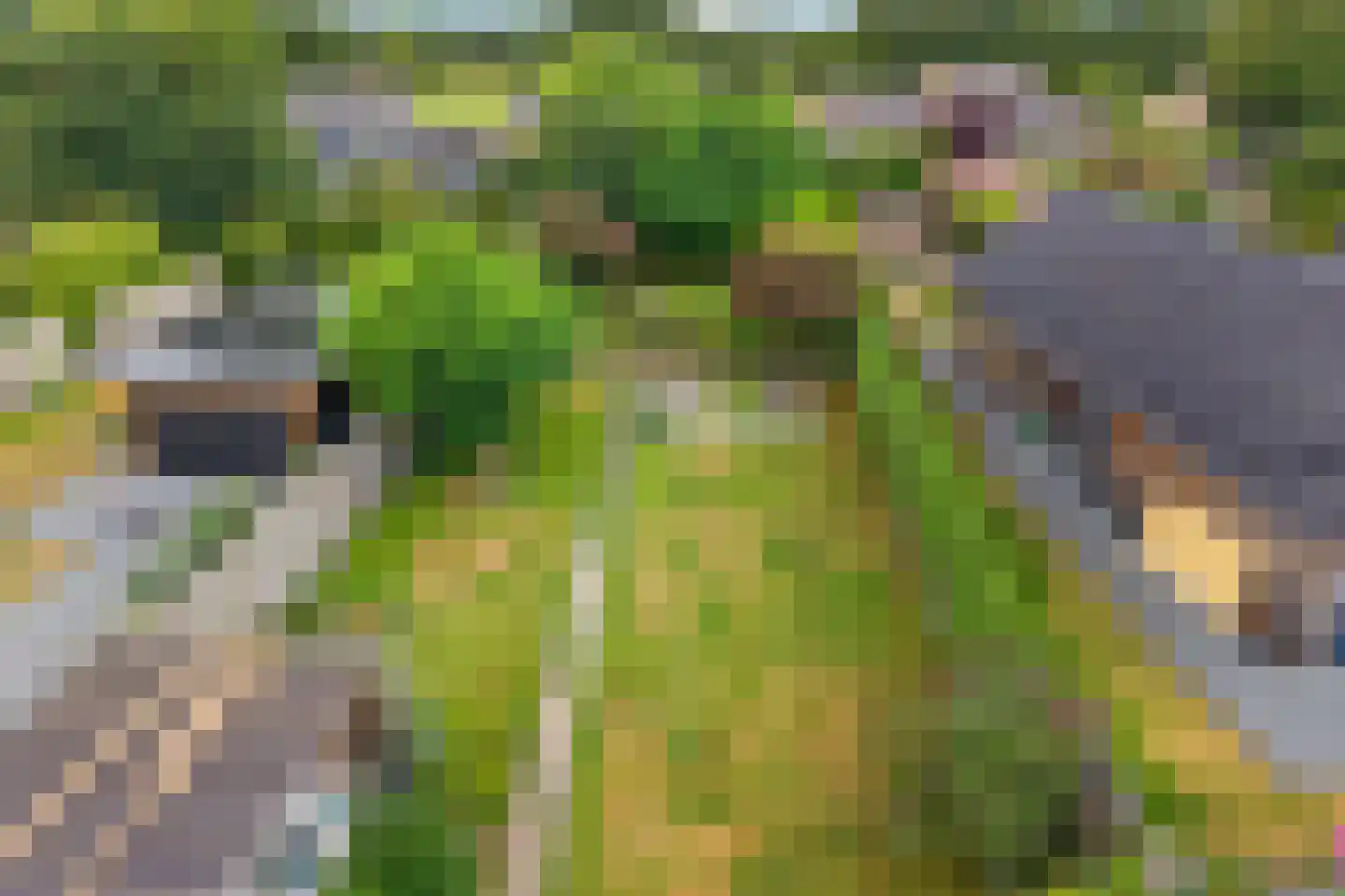 Westeinde 16 Gasteren thumbnail 41
