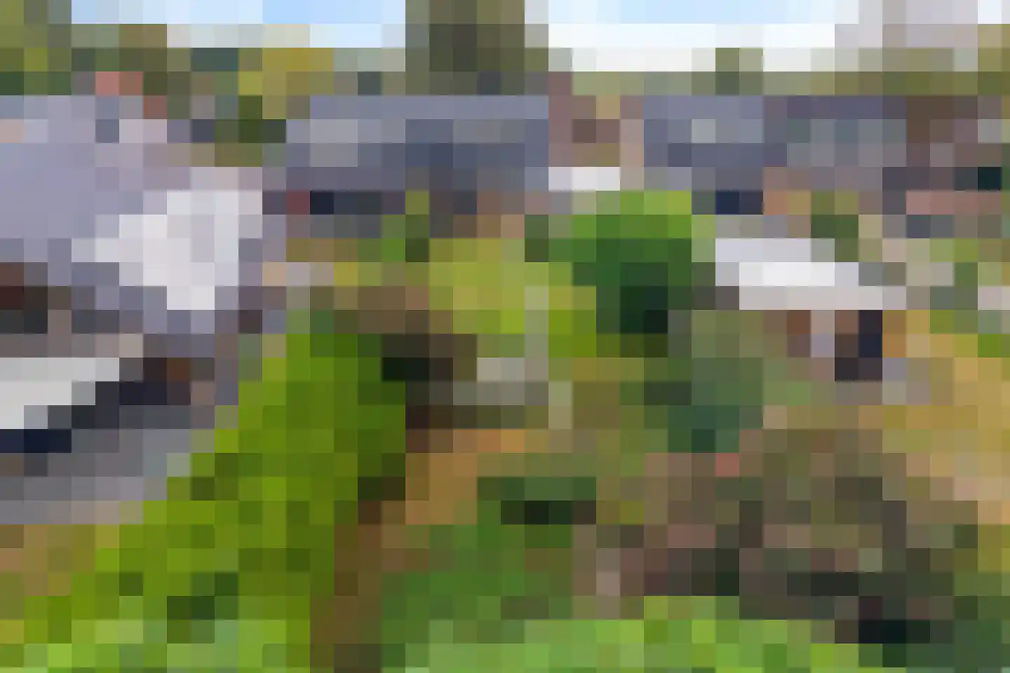 Westeinde 16 Gasteren thumbnail 44