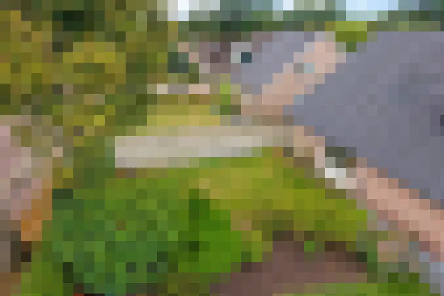 Westeinde 16 Gasteren thumbnail 47