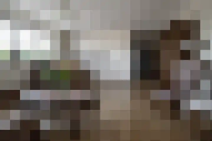 Westeinde 17 m Vriezenveen thumbnail 13