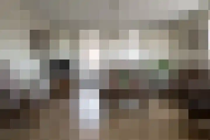 Westeinde 17 m Vriezenveen thumbnail 15