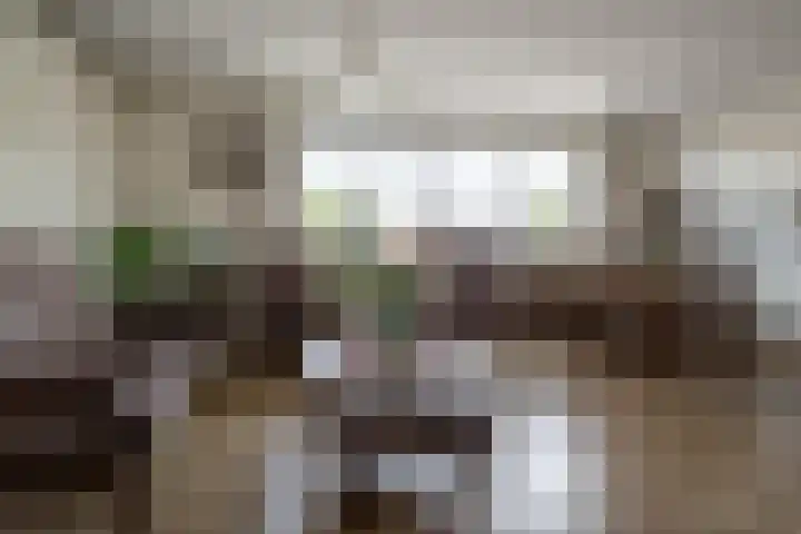 Westeinde 17 m Vriezenveen thumbnail 16