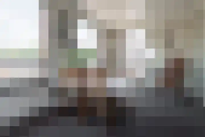 Westeinde 17 m Vriezenveen thumbnail 4