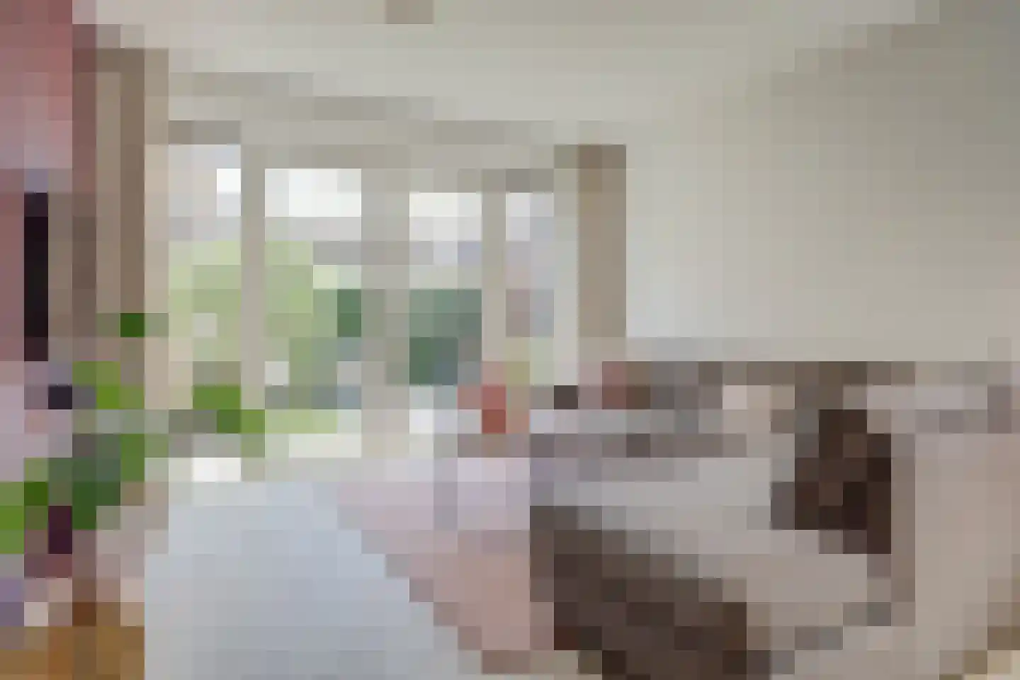 Westeinde 19 Broek op Langedijk thumbnail 10