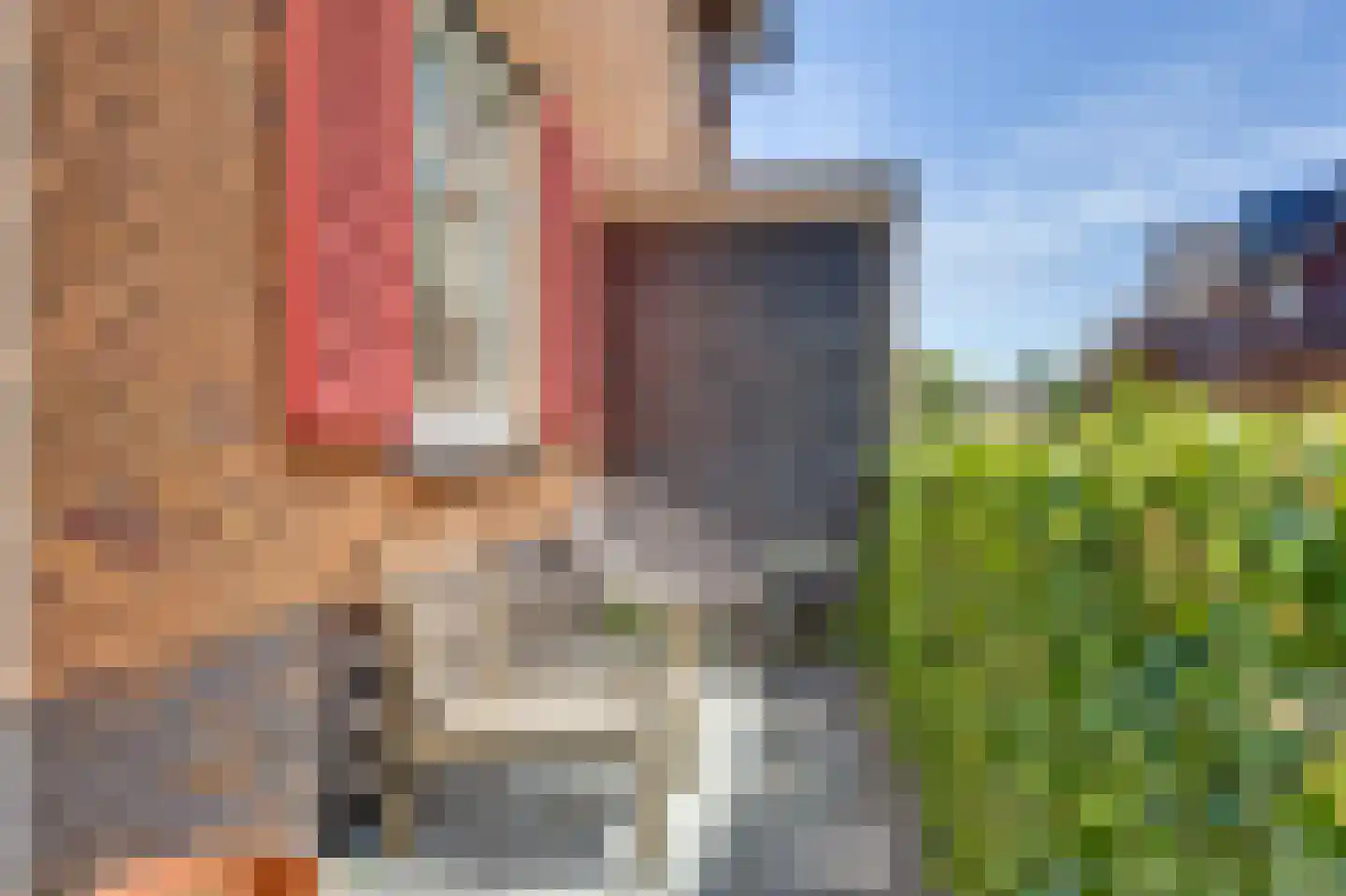 Westeinde 19 Broek op Langedijk thumbnail 5