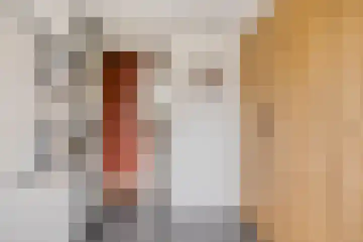Westeinde 2 Kloetinge thumbnail 20