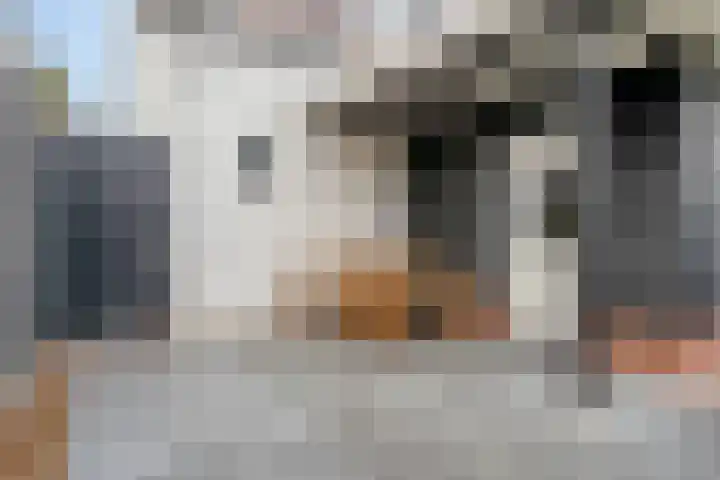 Westeinde 2 Kloetinge thumbnail 33