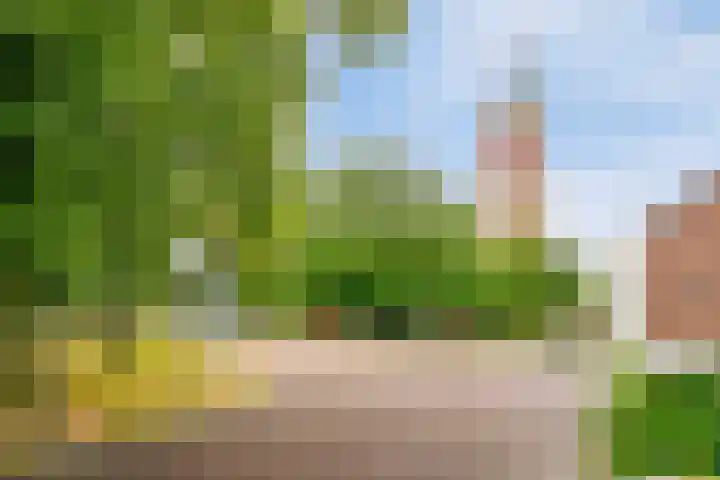 Westeinde 2 Kloetinge thumbnail 40