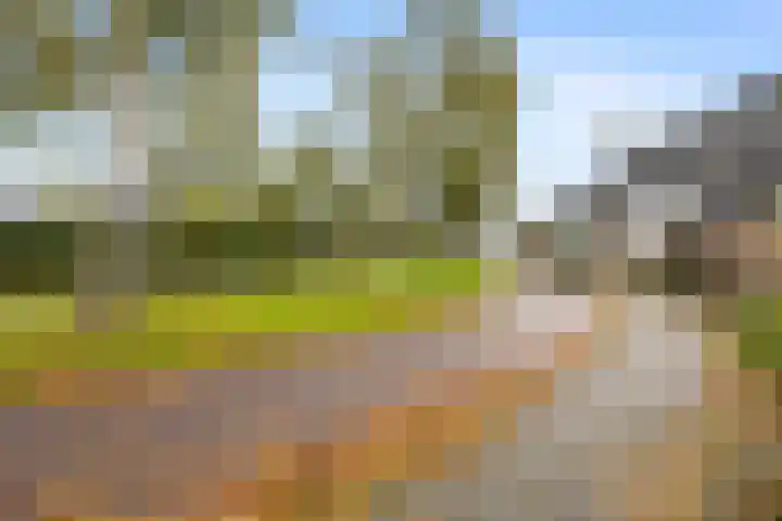 Westeinde 2 Kloetinge thumbnail 42
