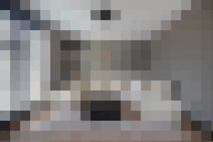 Westeinde 2 Waalwijk thumbnail 17
