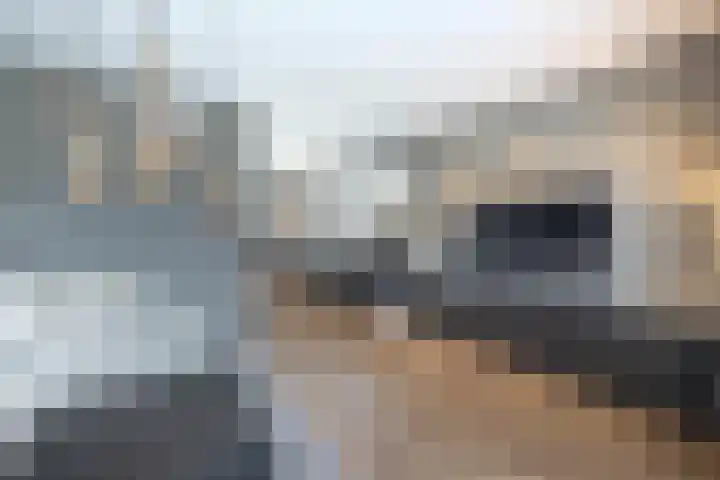 Westeinde 2 Waalwijk thumbnail 19