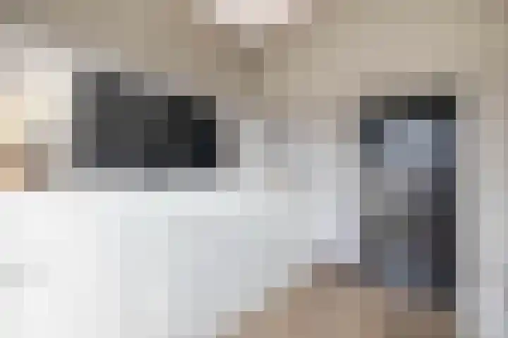Westeinde 2 Waalwijk thumbnail 28