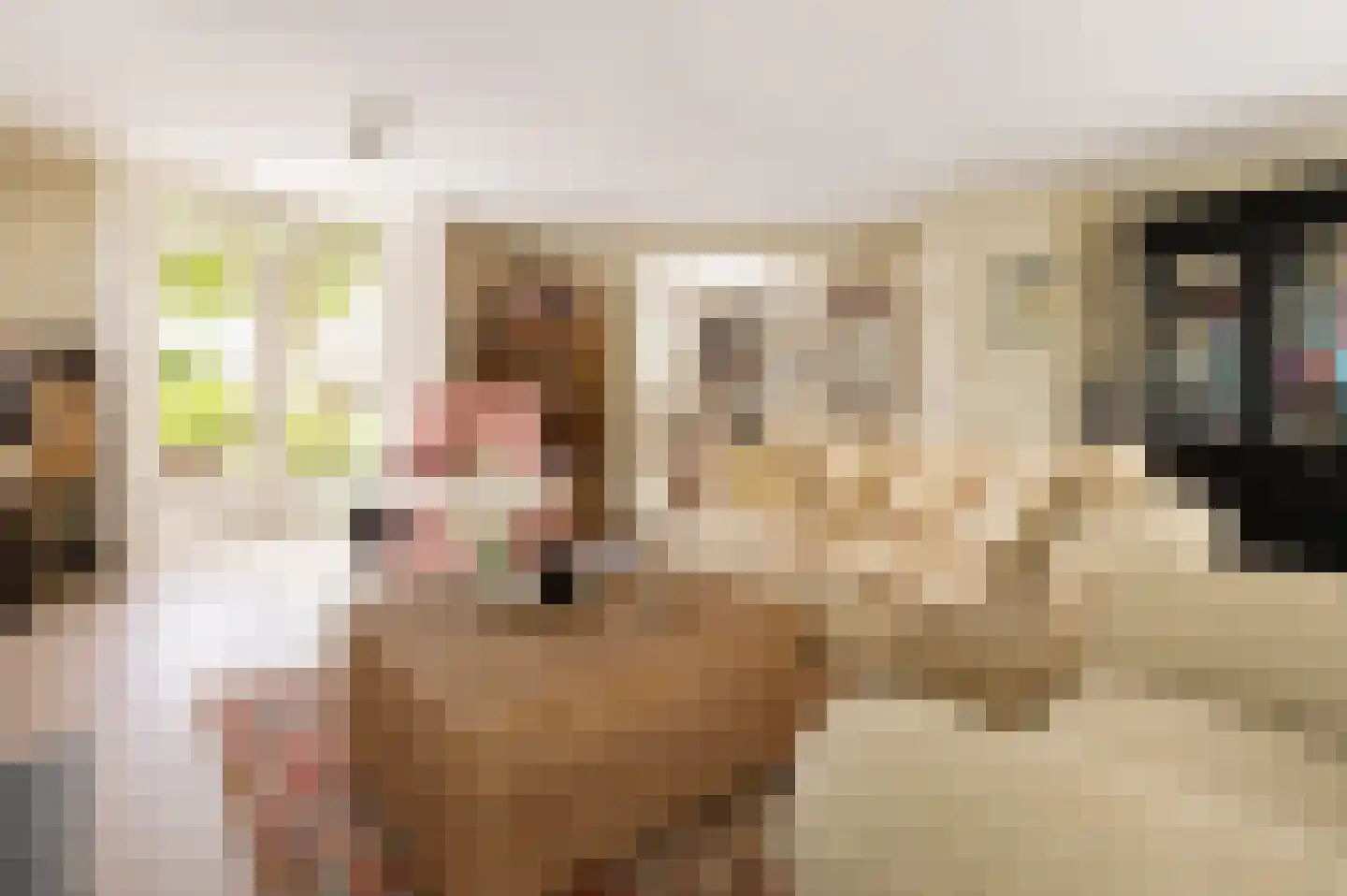 Westeinde 20 Leimuiden thumbnail 10